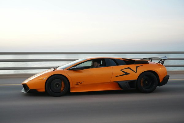 Scoprire il Mondo degli Animali Domestici!